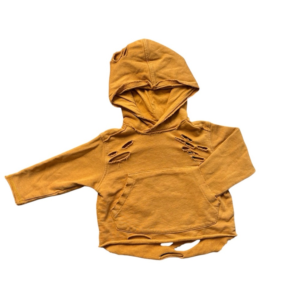 Toddler Trendy Hoodie Size 2